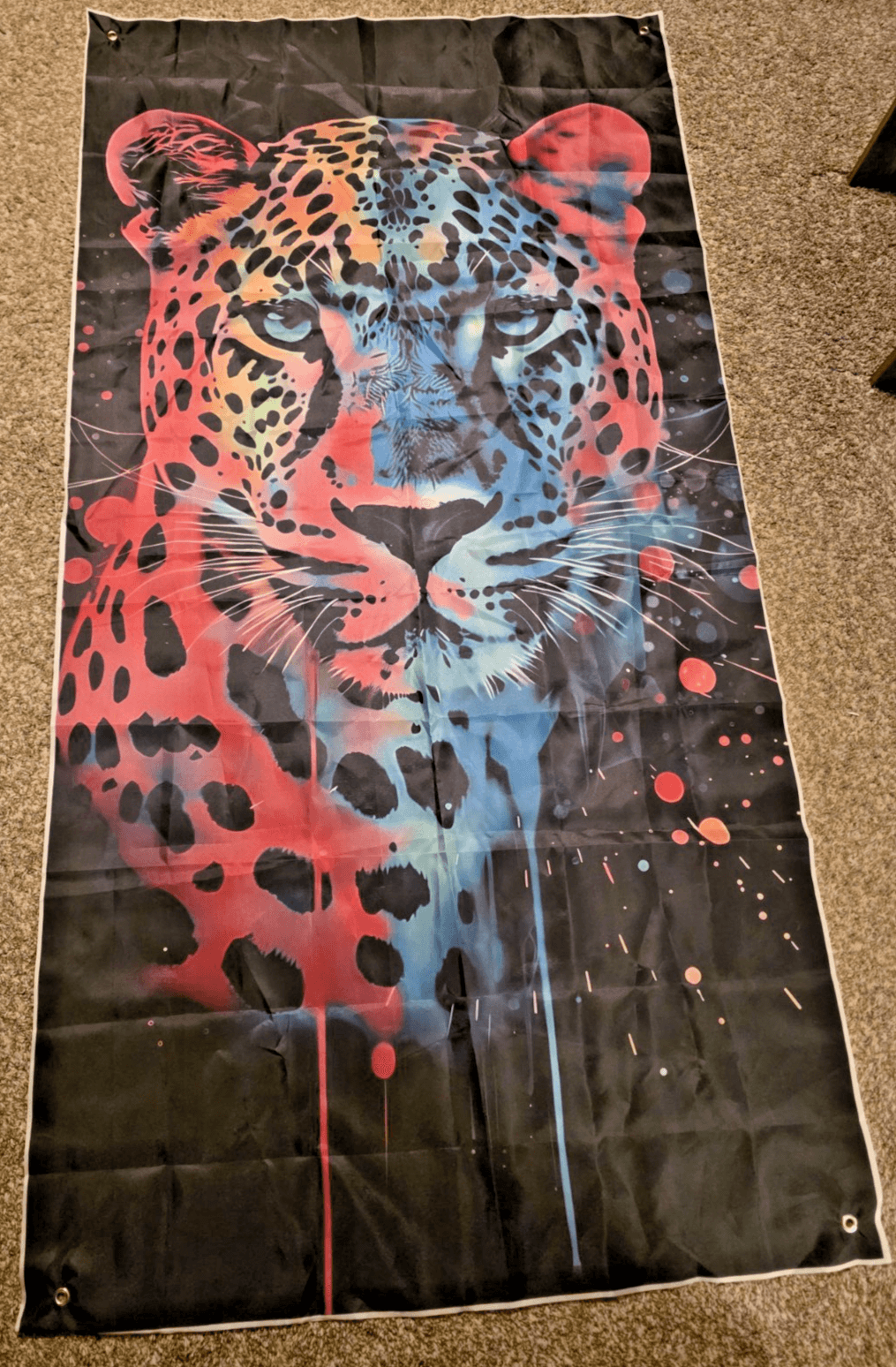Leopard Birthday Backdrop Neon Rainbow Photography 6' x 3'